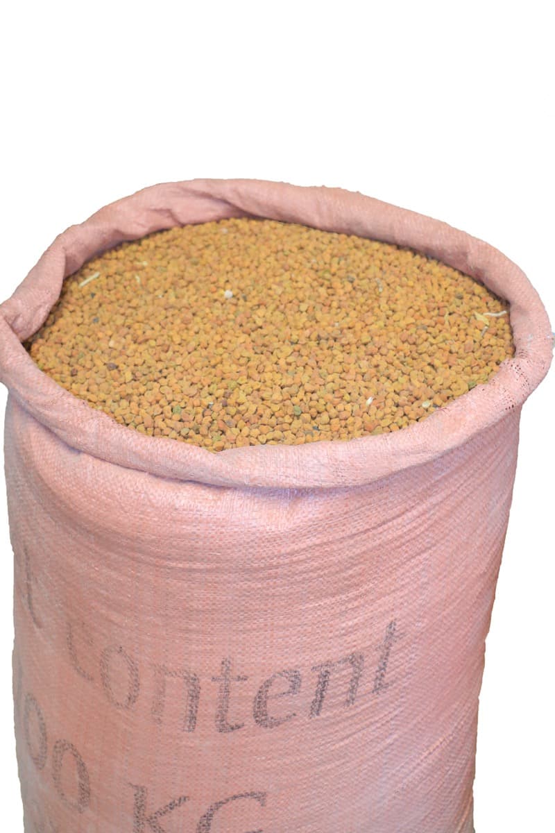 Mung Bean — ማሽ ባቄላ