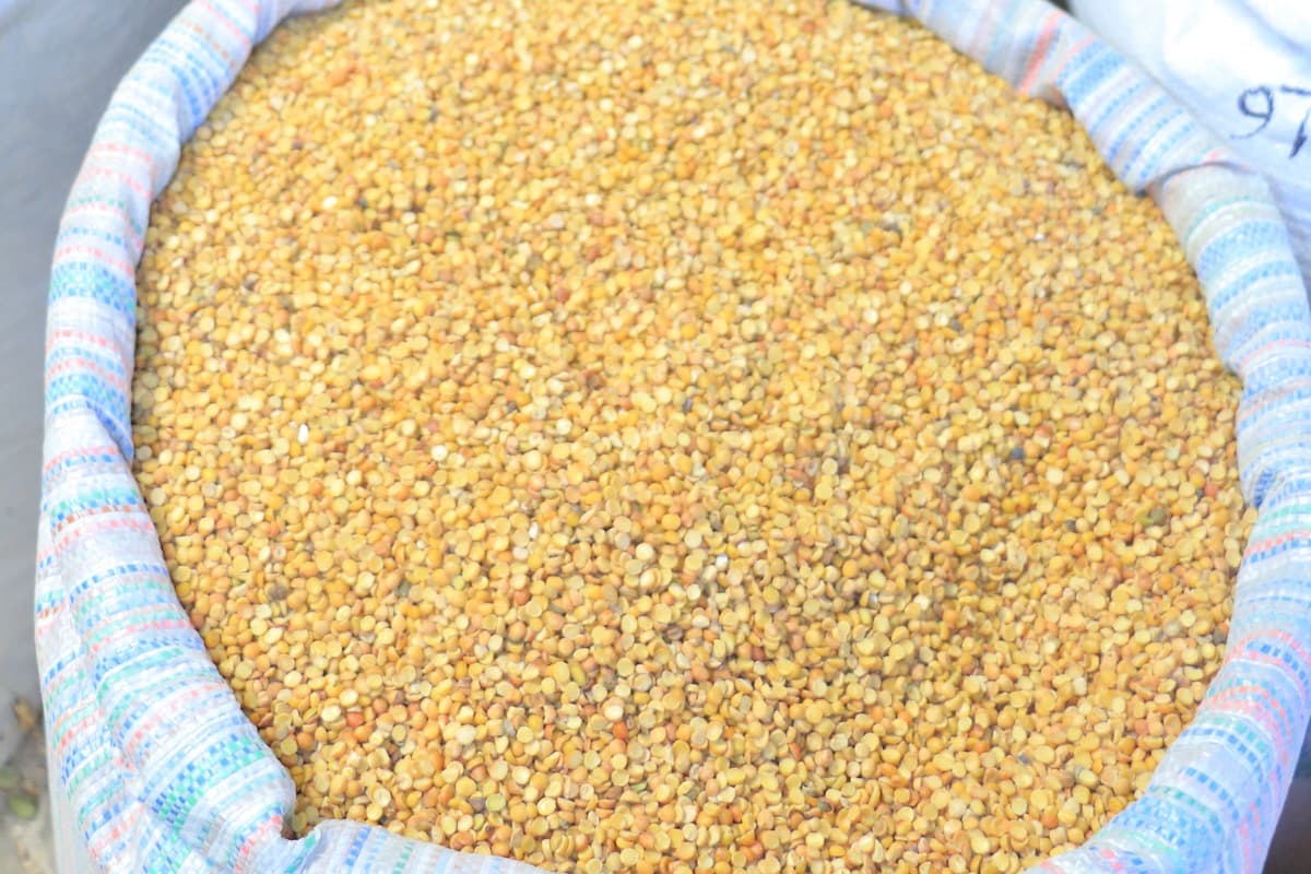 Chickpea — ሽንብራ