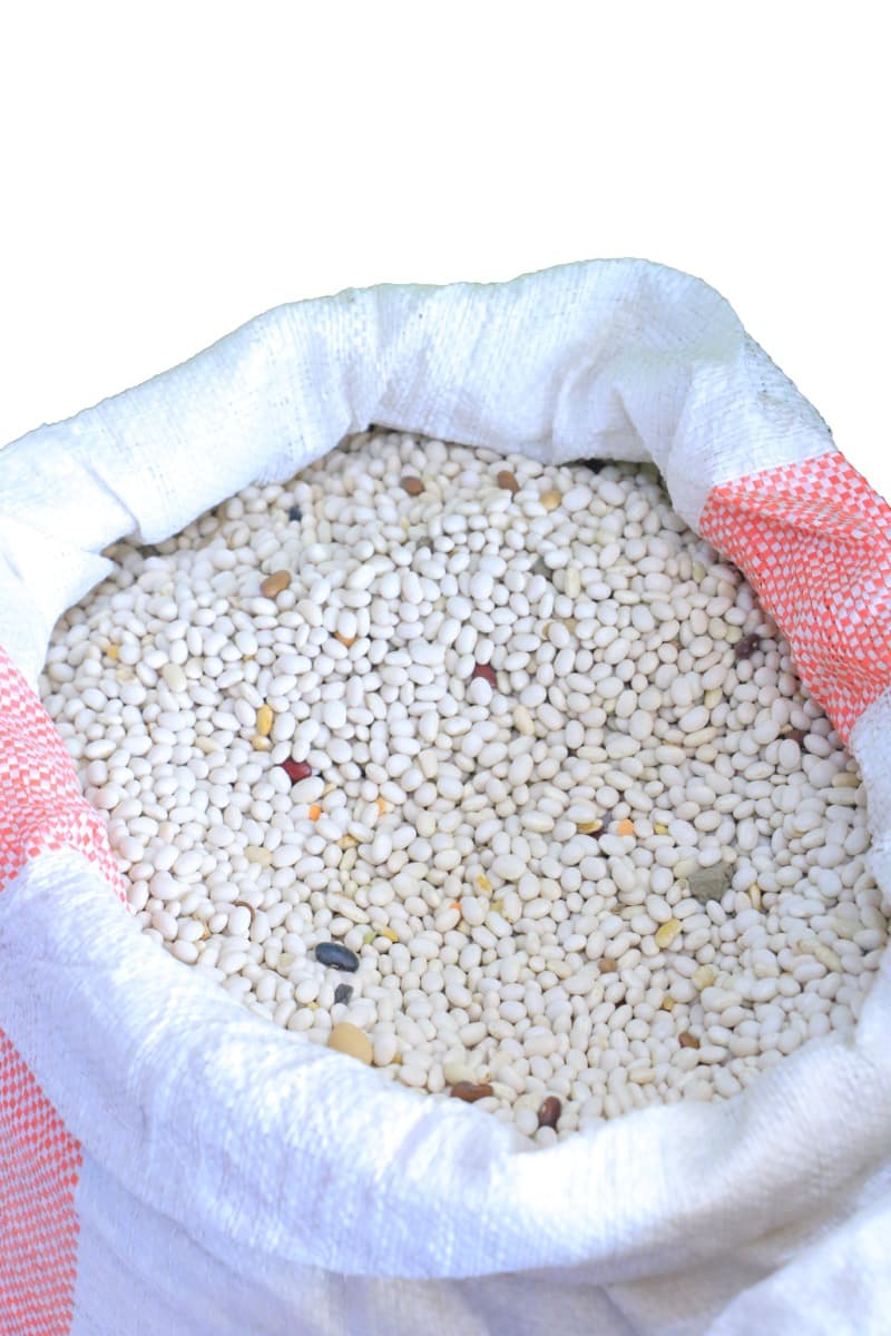 White Pea Bean — ነጭ በሎቄ